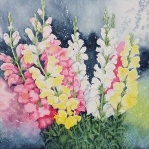 Space for Snap Dragons