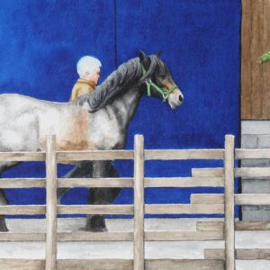 Yorkshire Dales Pony